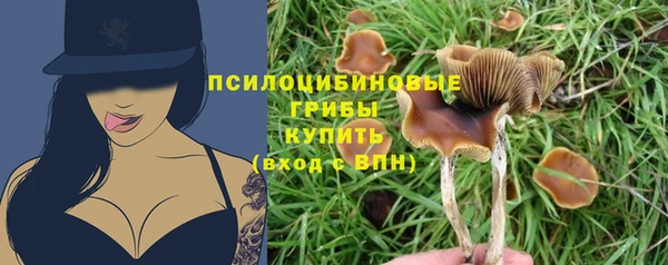 героин Алексин