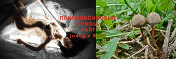 ГАЛЛЮЦИНОГЕННЫЕ ГРИБЫ Новодвинск